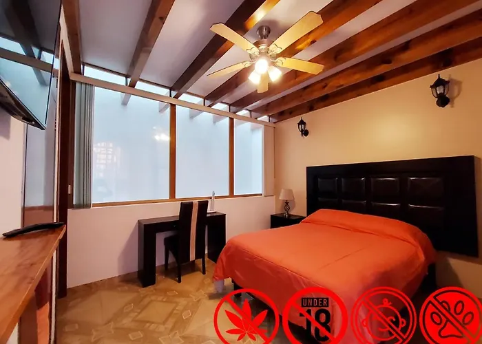 Alfonsina Bed & Breakfast 3*